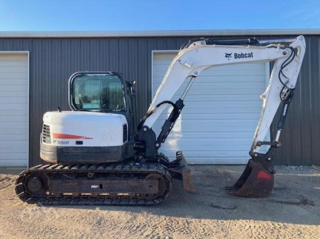 Bobcat